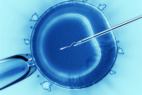 http://guiyang.vdtfzz.com/post/198.html|贵阳代生助孕