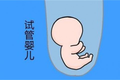 http://guiyang.vdtfzz.com/post/194.html|贵阳新闻中心